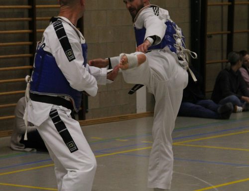 Berufsausbildung zum Kampfkunstlehrer