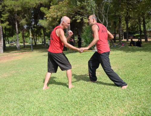 Avci Wing Tsun