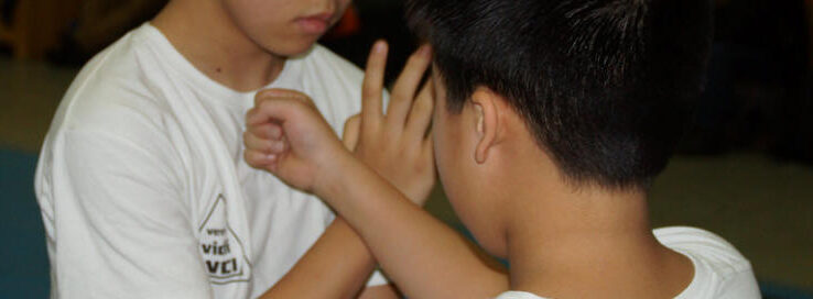 Wing tsun Kindertraining DoLiKido
